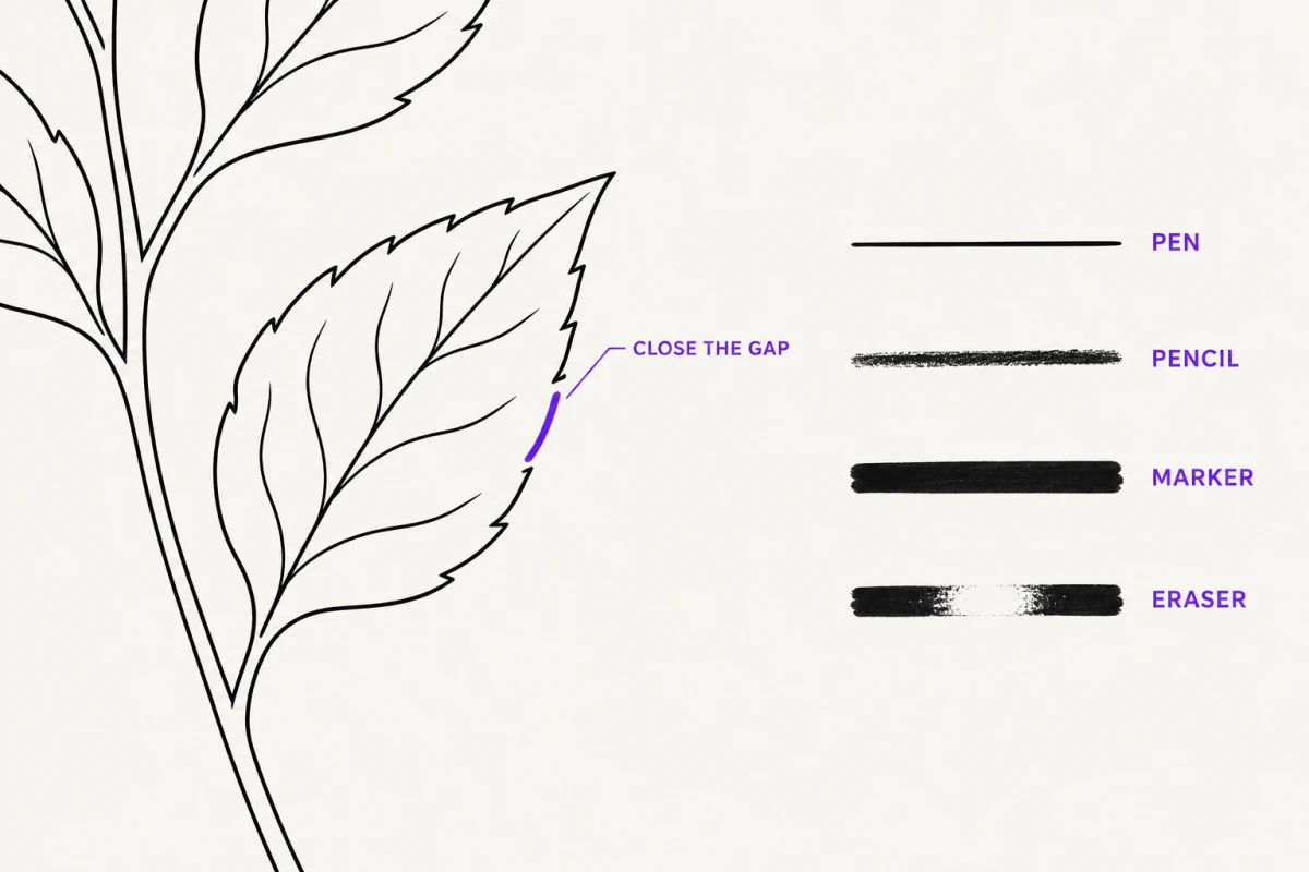 A gap in a leaf contour being closed with a single pen stroke, beside stroke samples of the four brushes: Pen, Pencil, Marker and Eraser.