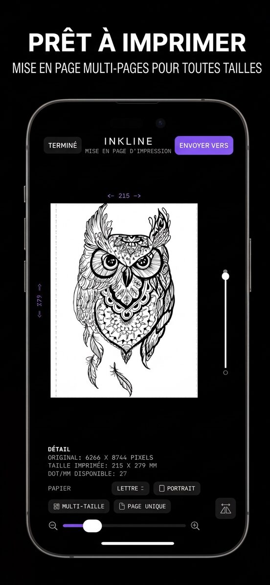 La mise en page d’impression avec un pochoir de hibou sur une feuille à taille réelle, cotes en millimètres sur les bords.