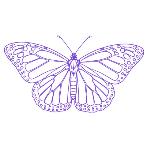 Butterfly tattoo stencil: clean linework traced from the photo
