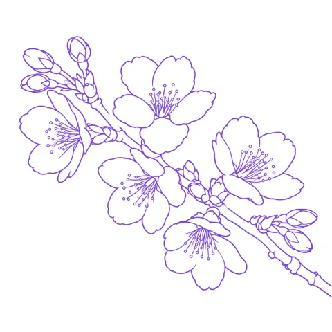 Cherry blossom tattoo stencil: clean linework traced from the photo