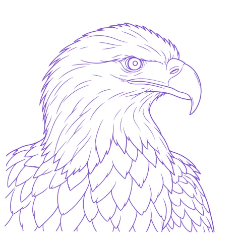 Eagle tattoo stencil: clean linework traced from the photo