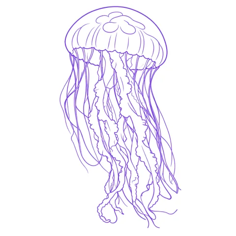 Jellyfish tattoo stencil: clean linework traced from the photo