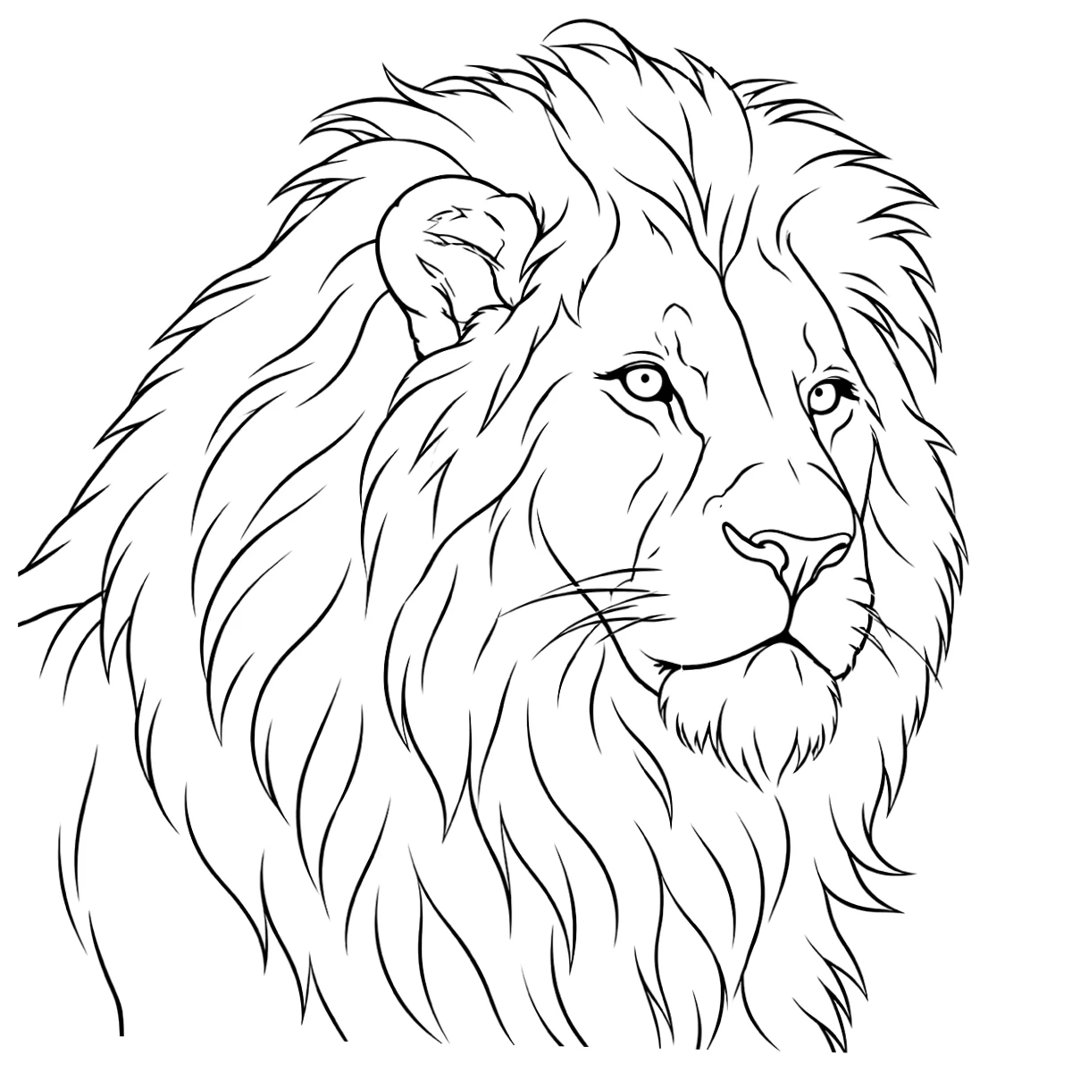Lion tattoo stencil: clean linework traced from the photo