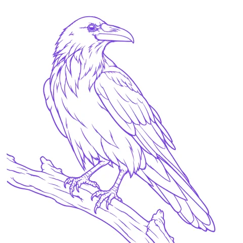 Raven tattoo stencil: clean linework traced from the photo