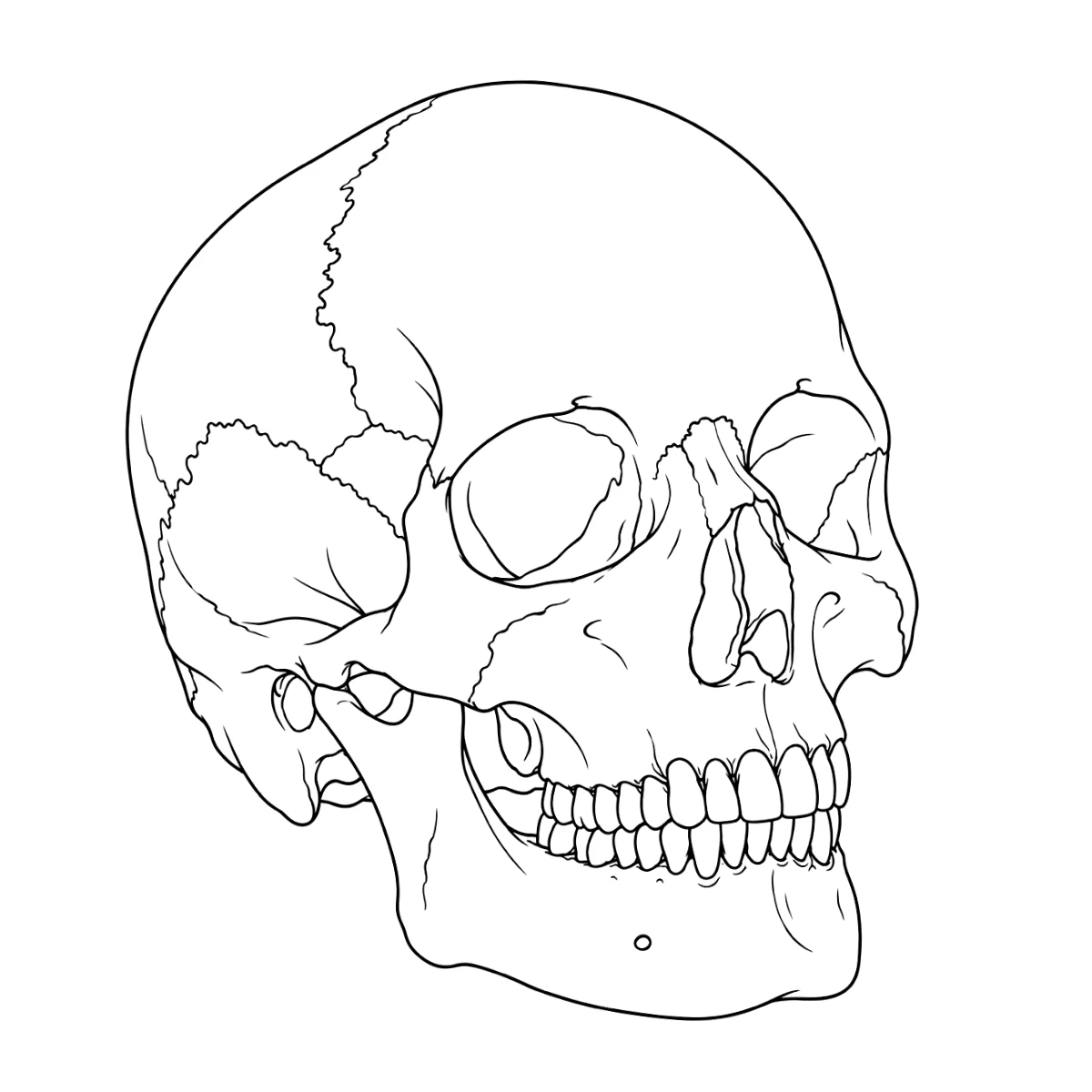 Skull tattoo stencil in clean black linework on white, printable (AI-generated example)
