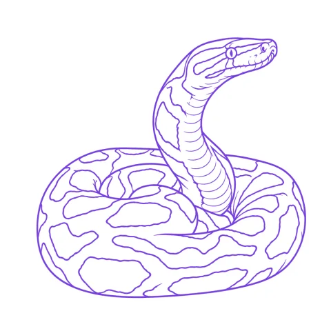 Snake tattoo stencil: clean linework traced from the photo